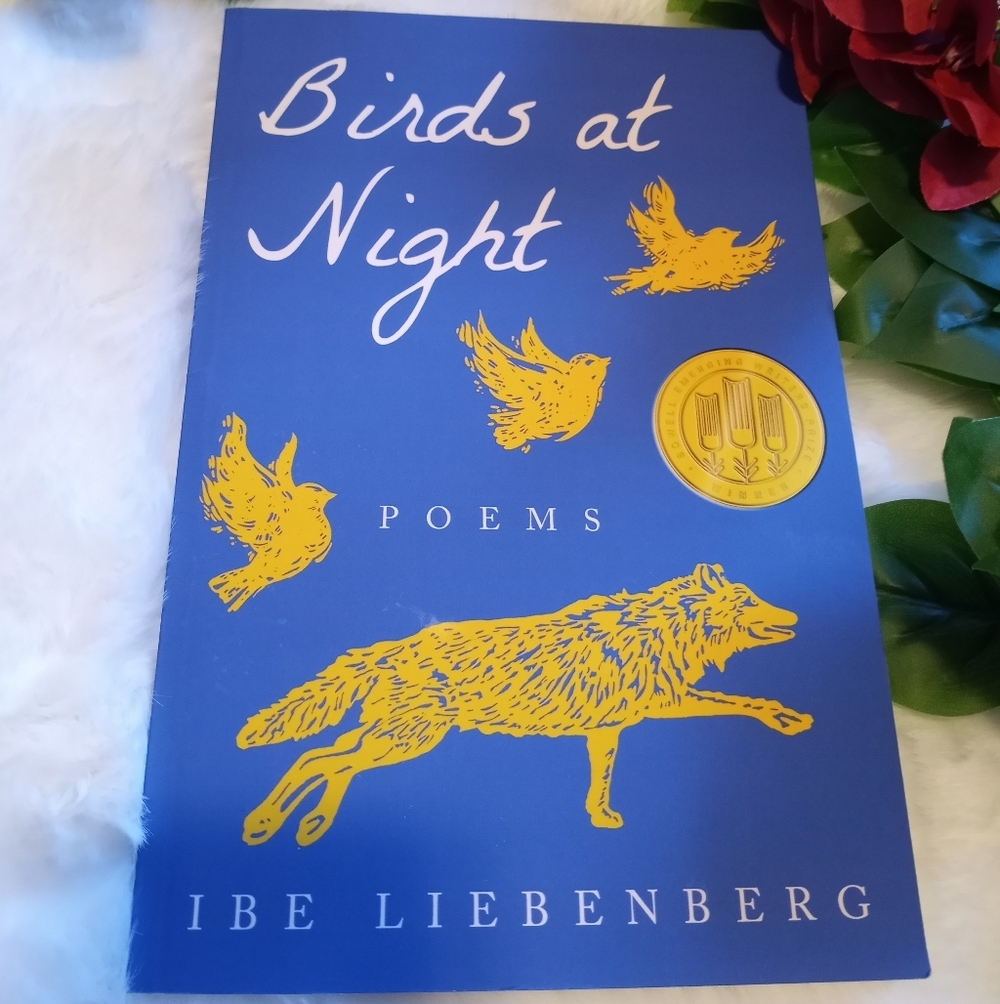 Birds at Night Poetry Book